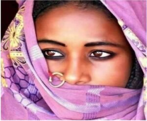 علي الأفريقي يفند: هل كان السودان جزءًا من مصر؟ (1)