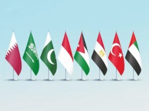 8 دول عربية وإسلامية تصدر بيانا مشتركا عن “انتهاكات” إسرائيل