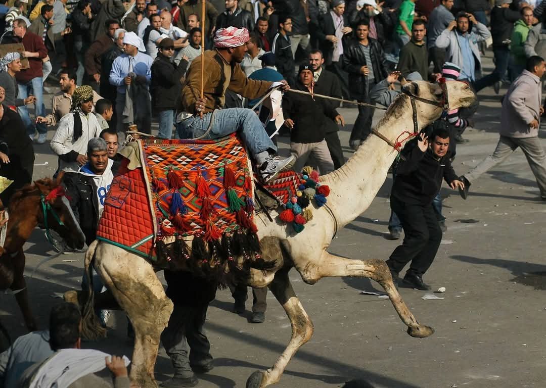 حتى لا ننسى موقعة الجمل