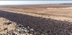 في وداع سيف الإسلام القذافي