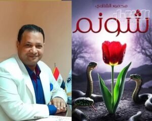 “شونم” الشناوي..شهادة سردية على زمن عربي مضطرب