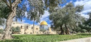 اقتحام المسجد الأقصى لا تتوقف