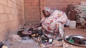 تقرير أممي يتّهم قوات الدعم السريع بارتكاب إبادة جماعية في الفاشر