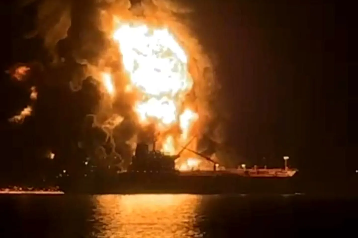 المنبطحون في الأرض