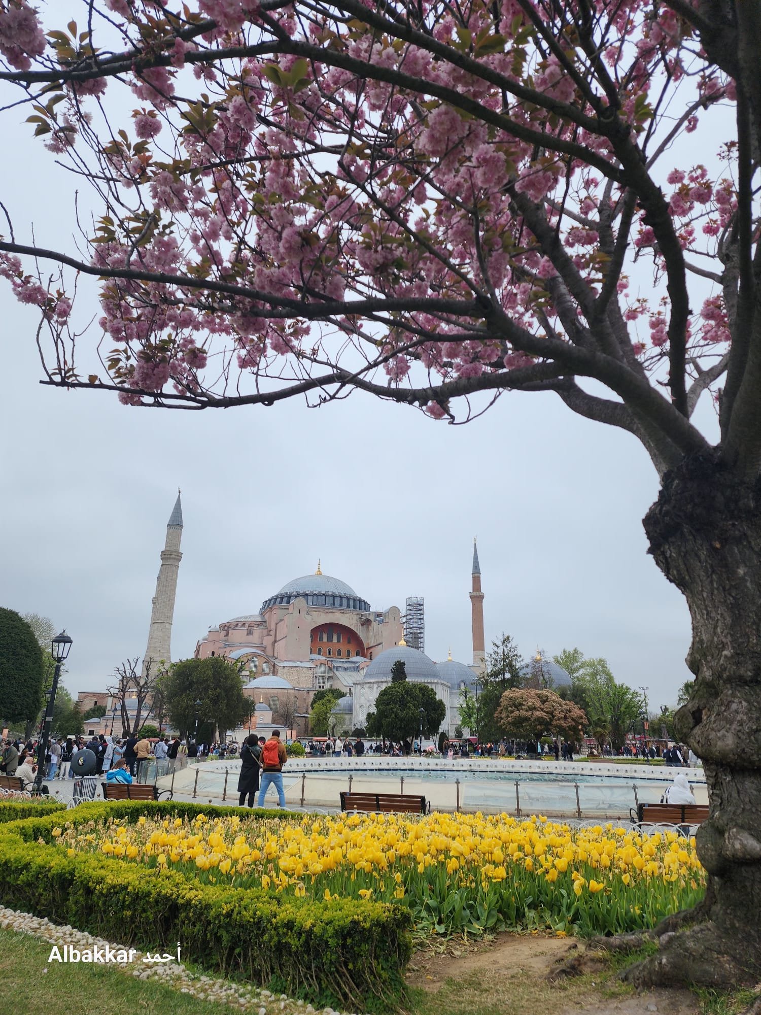 عين الكاميرا (1) آيا صوفيا جوهرة إسطنبول