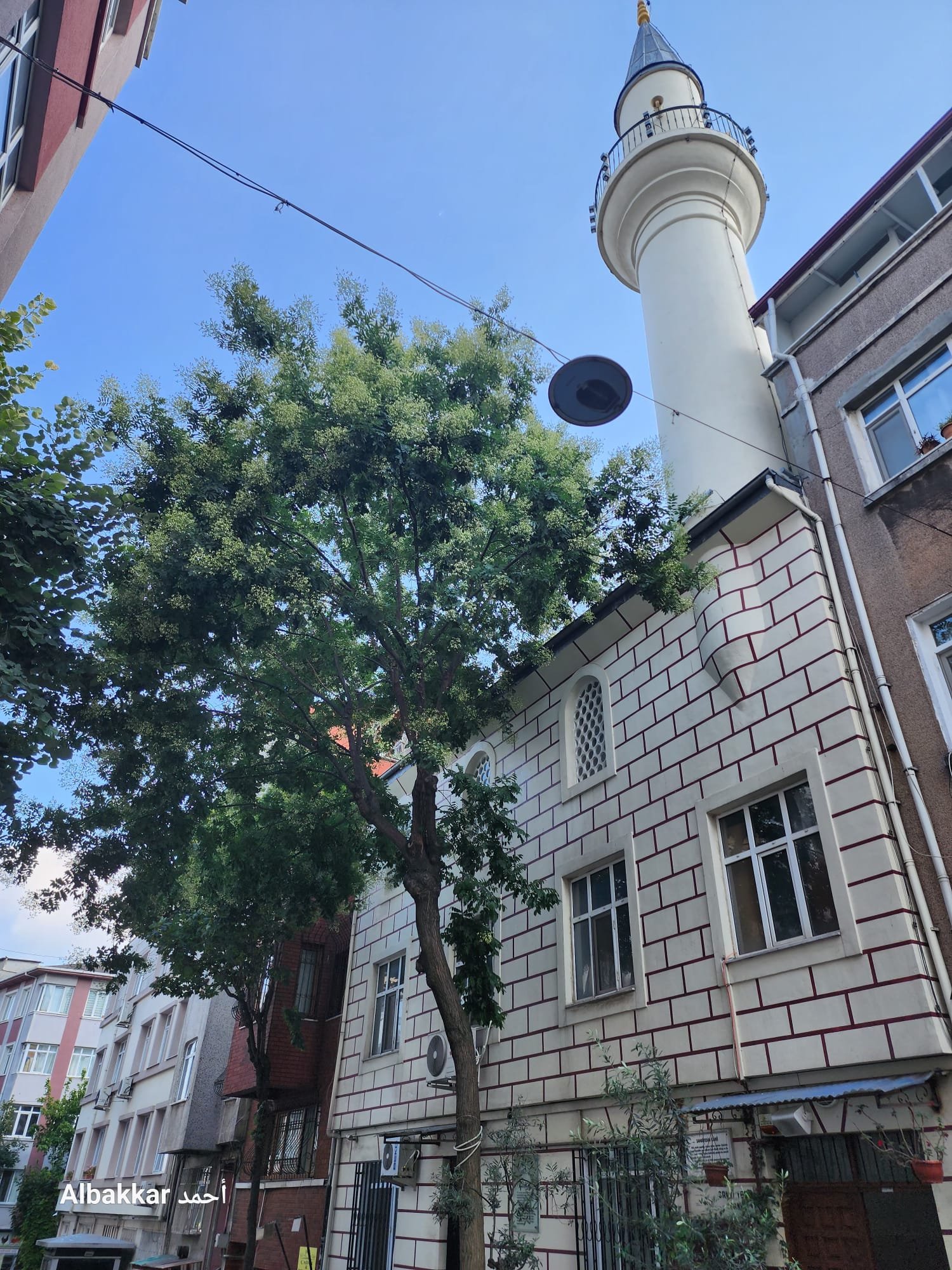 عين الكاميرا (2)  مسجد الزاهد