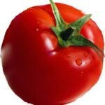 علي محمد علي يكتب: الطمطاية والحرب على إيران؟