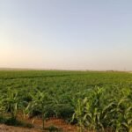 محمد كامل خضري يكتب: كتاب الحياة