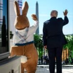 د. محمد الغمري يكتب: ترامب “الكابوي” حين تتحول الأسطورة إلى ترند