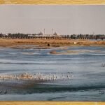 عين الكاميرا (3) : جسر الرقة سوريا ( فيديو)