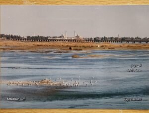 عين الكاميرا (3) : جسر الرقة سوريا ( فيديو)