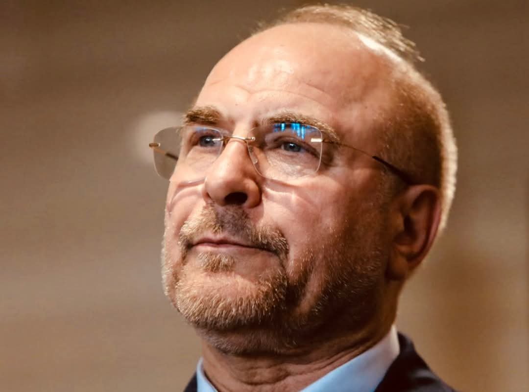 محمد باقر قاليباب رئيس مجلس الشيوخ الإيراني 