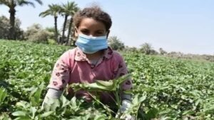 تقرير: العمل في مصر بين النص والواقع