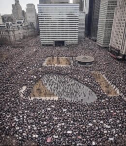 محمد كامل خضري يكتب: المجاميع 