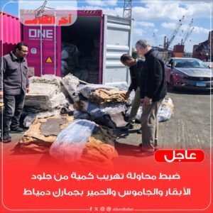 إحباط محاولة تهريب جلود حيوانات في جمارك دمياط