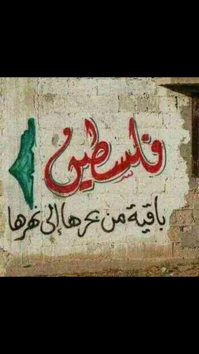 في دير ياسين سرقت دموعنا يا ذئب