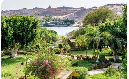 د. مجدي شرف يكتب: حكاية جزيرة النباتات بأسوان