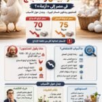 لماذا تحول انخفاض أسعار البيض والدجاج في مصر إلى أزمة؟