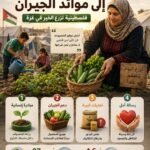 فلسطينية تحارب الجوع بزراعة الخضروات وتوزيعها مجاناً في غزة
