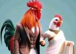 محمد كامل خضري يكتب: تدجين الدواجن! الديك الزعيم