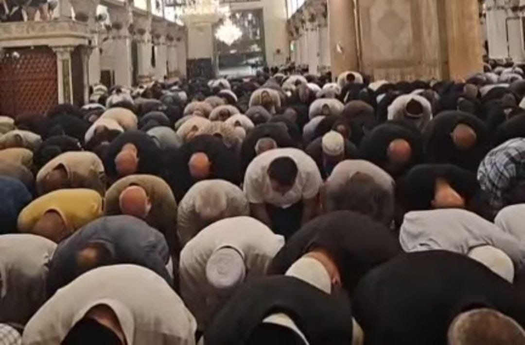 د. محمود عبد اللطيف يكتب: (المسجد) حين يخلع البشر ألقابهم مع أحذيتهم