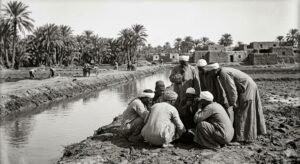 أنس دنقل يكتب: اولاد العم علي الطريقة الحديثة! (حياة القبيلة)