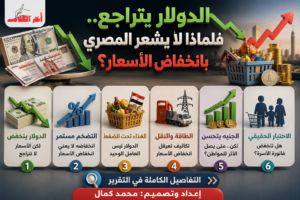 الدولار يتراجع.. فلماذا لا يشعر المصري بانخفاض الأسعار؟