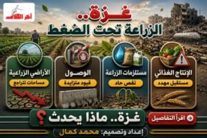 الأمم المتحدة: 3% فقط من الأراضي الزراعية في غزة صالحة للوصول