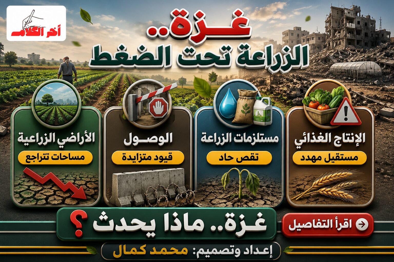 الأمم المتحدة: 3% فقط من الأراضي الزراعية في غزة صالحة للوصول
