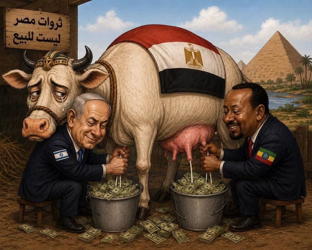 د. أيمن نور يكتب: مصر أمام نظام جديد للنيل