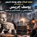 محمد فرحات يحاور يوسف إدريس في العالم الآخر (2-2)