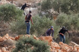 مستوطنون يهاجمون فلسطينيين ودبلوماسيين غربيين في الضفة